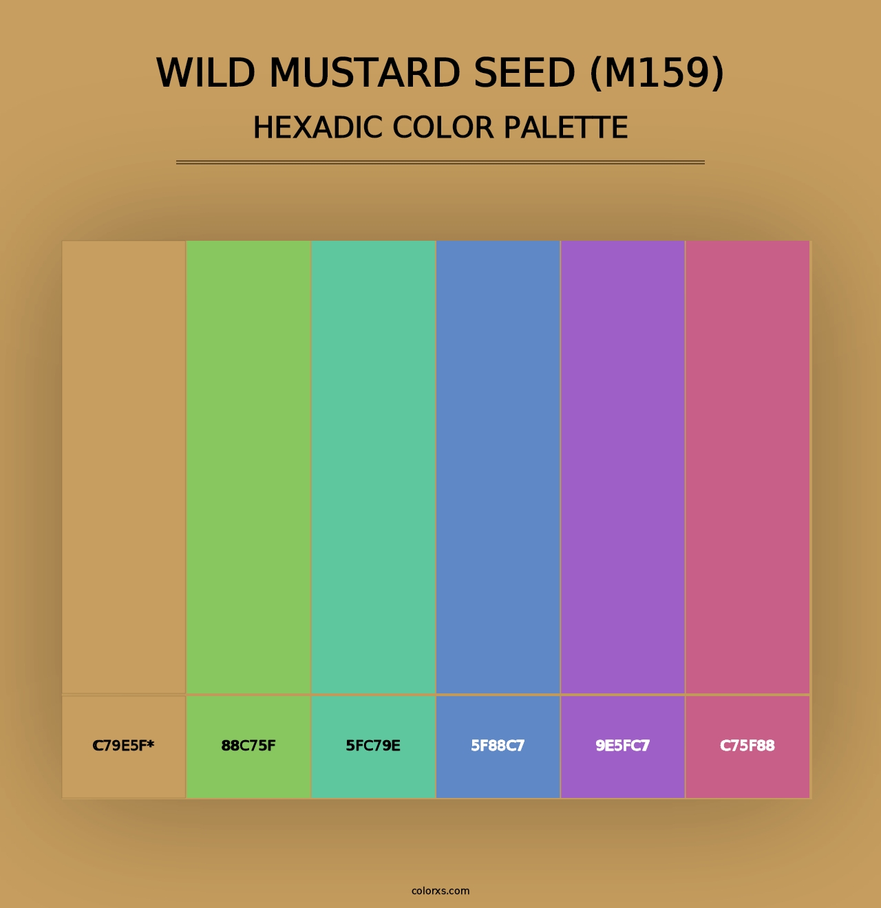 Wild Mustard Seed (M159) - Hexadic Color Palette