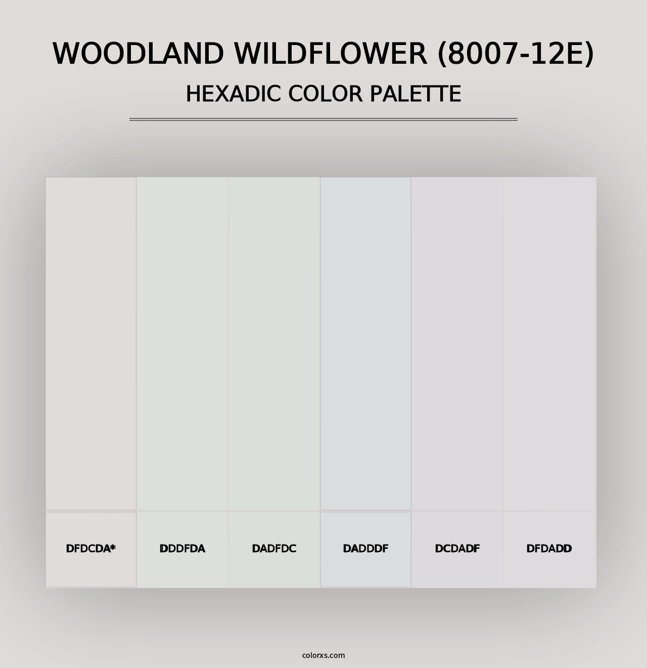 Woodland Wildflower (8007-12E) - Hexadic Color Palette