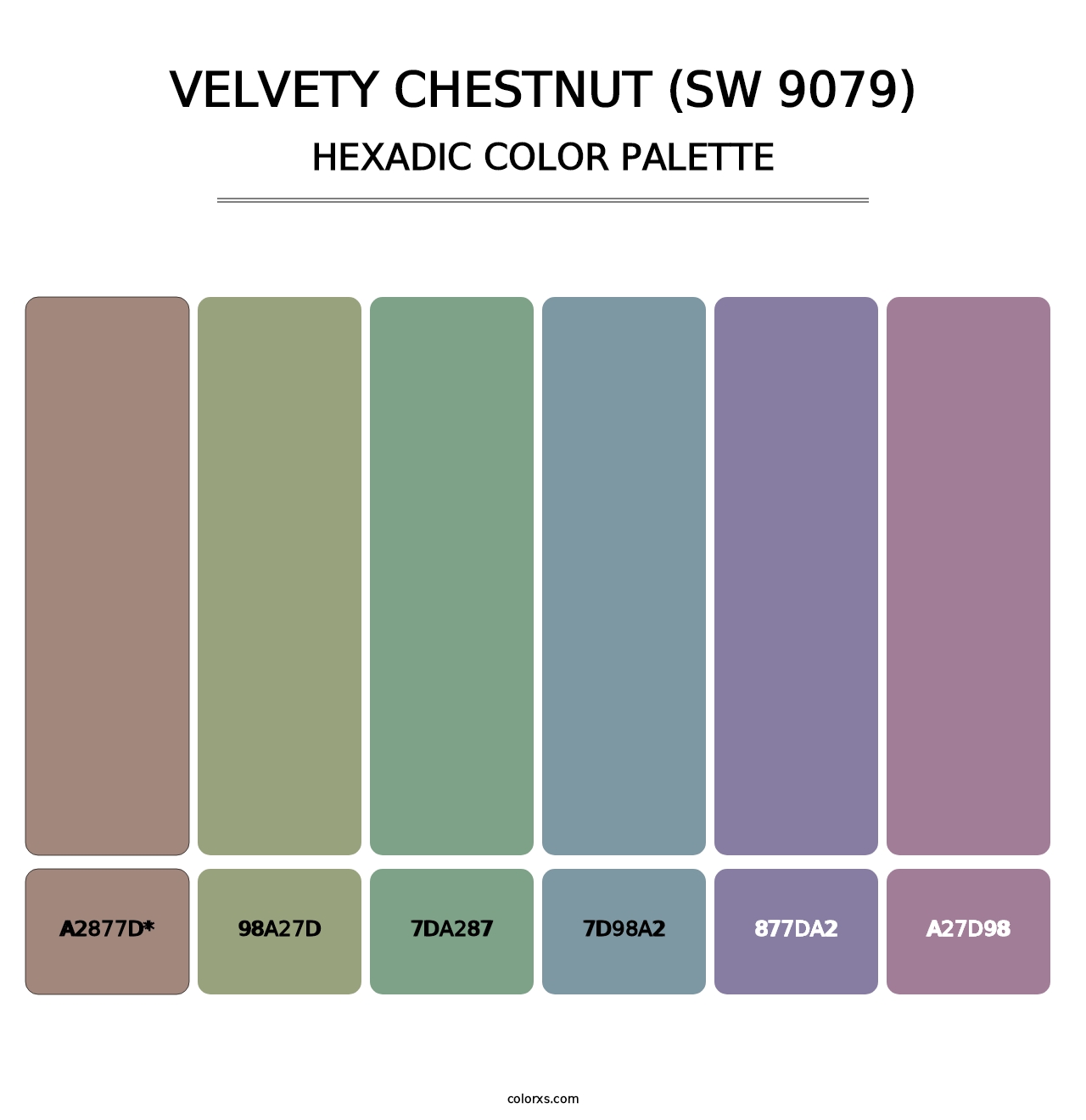 Velvety Chestnut (SW 9079) - Hexadic Color Palette