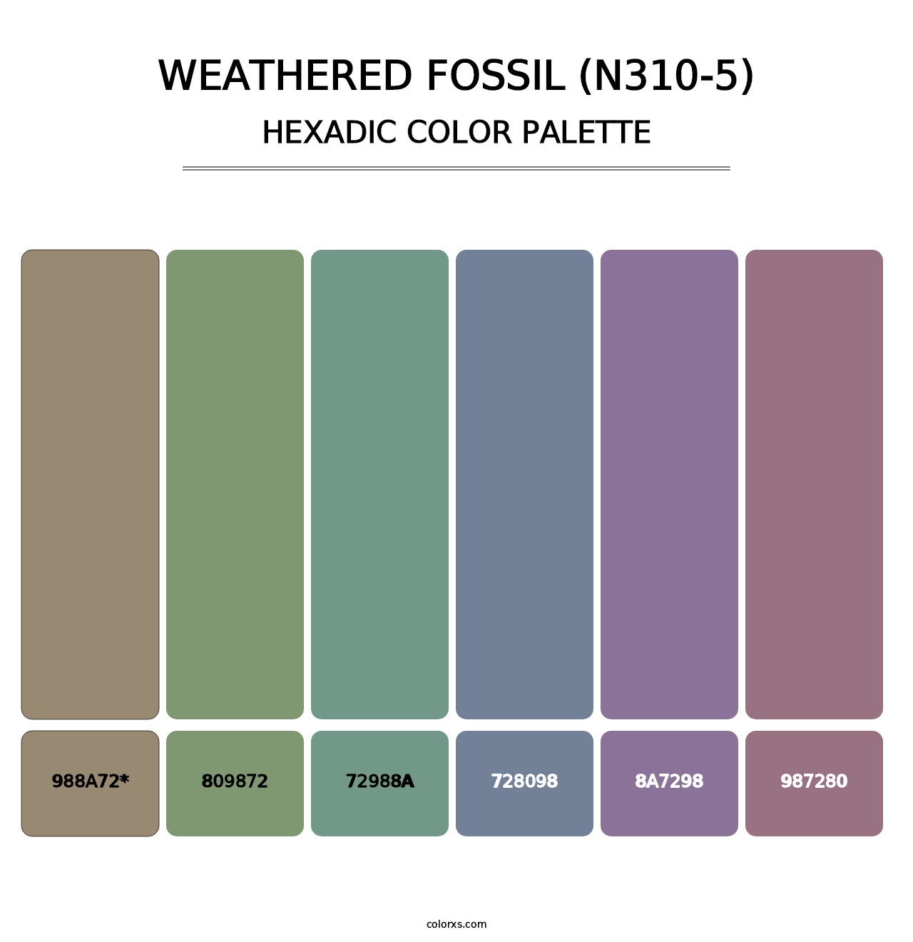 Weathered Fossil (N310-5) - Hexadic Color Palette