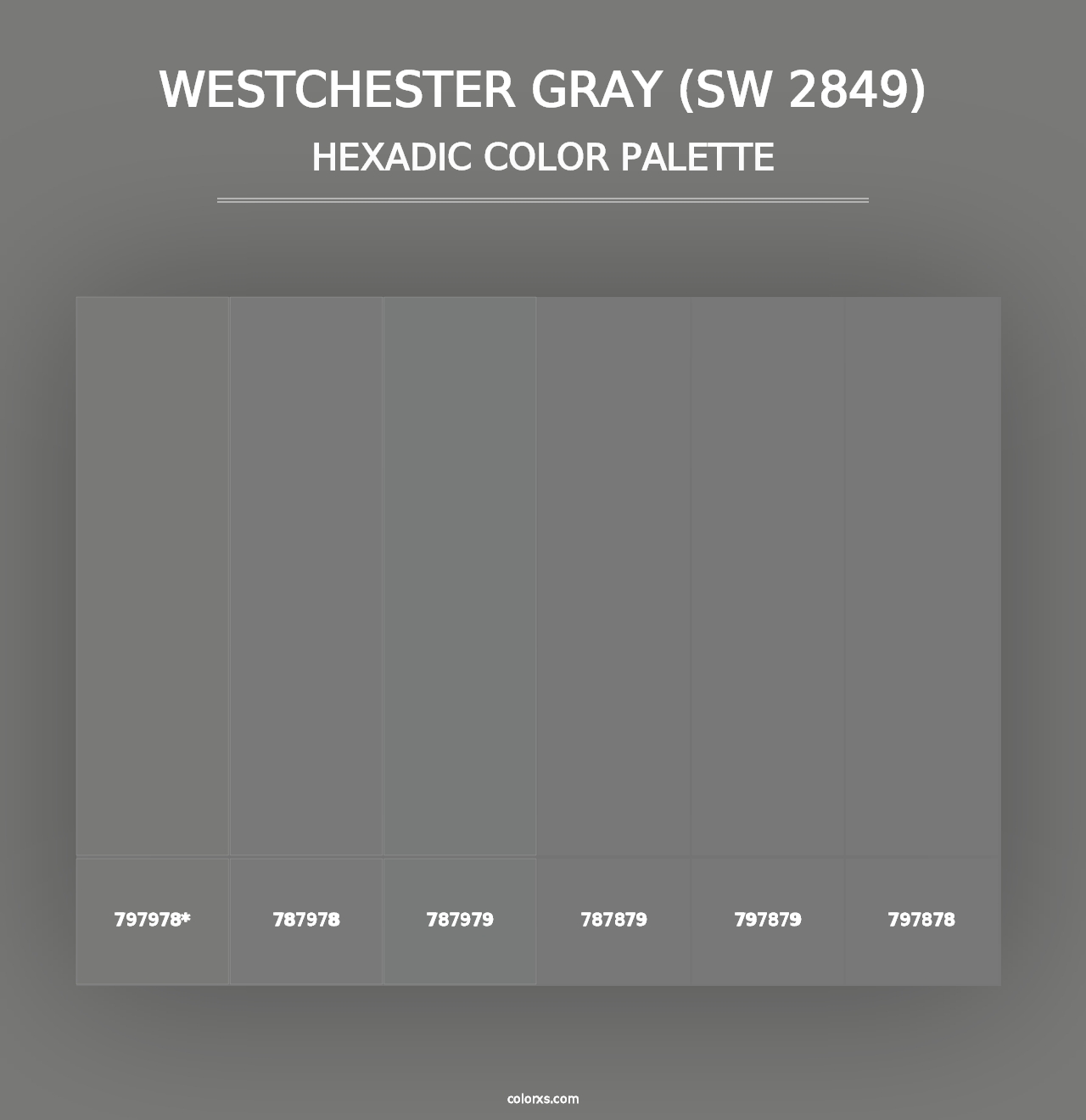 Westchester Gray (SW 2849) - Hexadic Color Palette