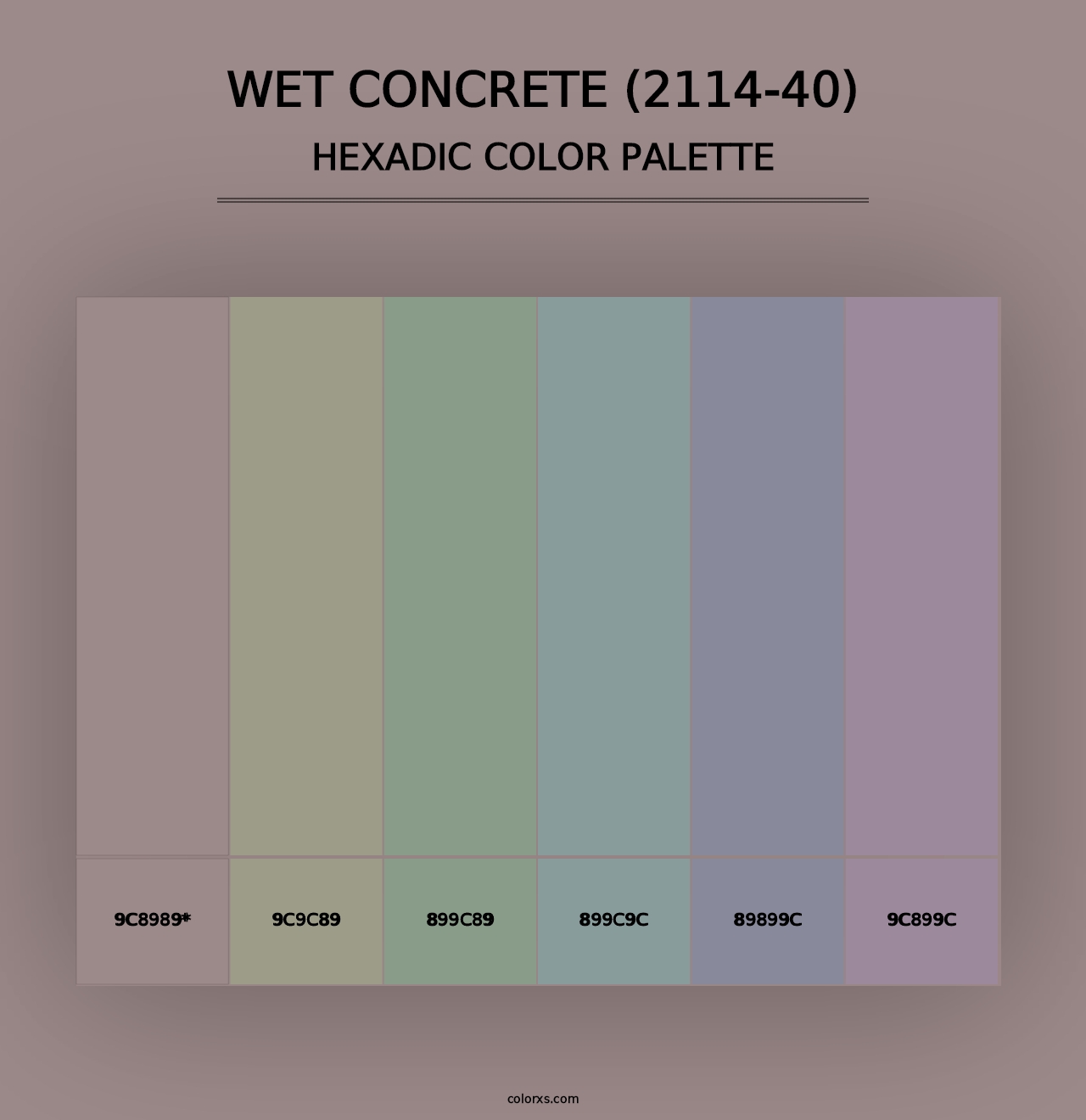 Wet Concrete (2114-40) - Hexadic Color Palette