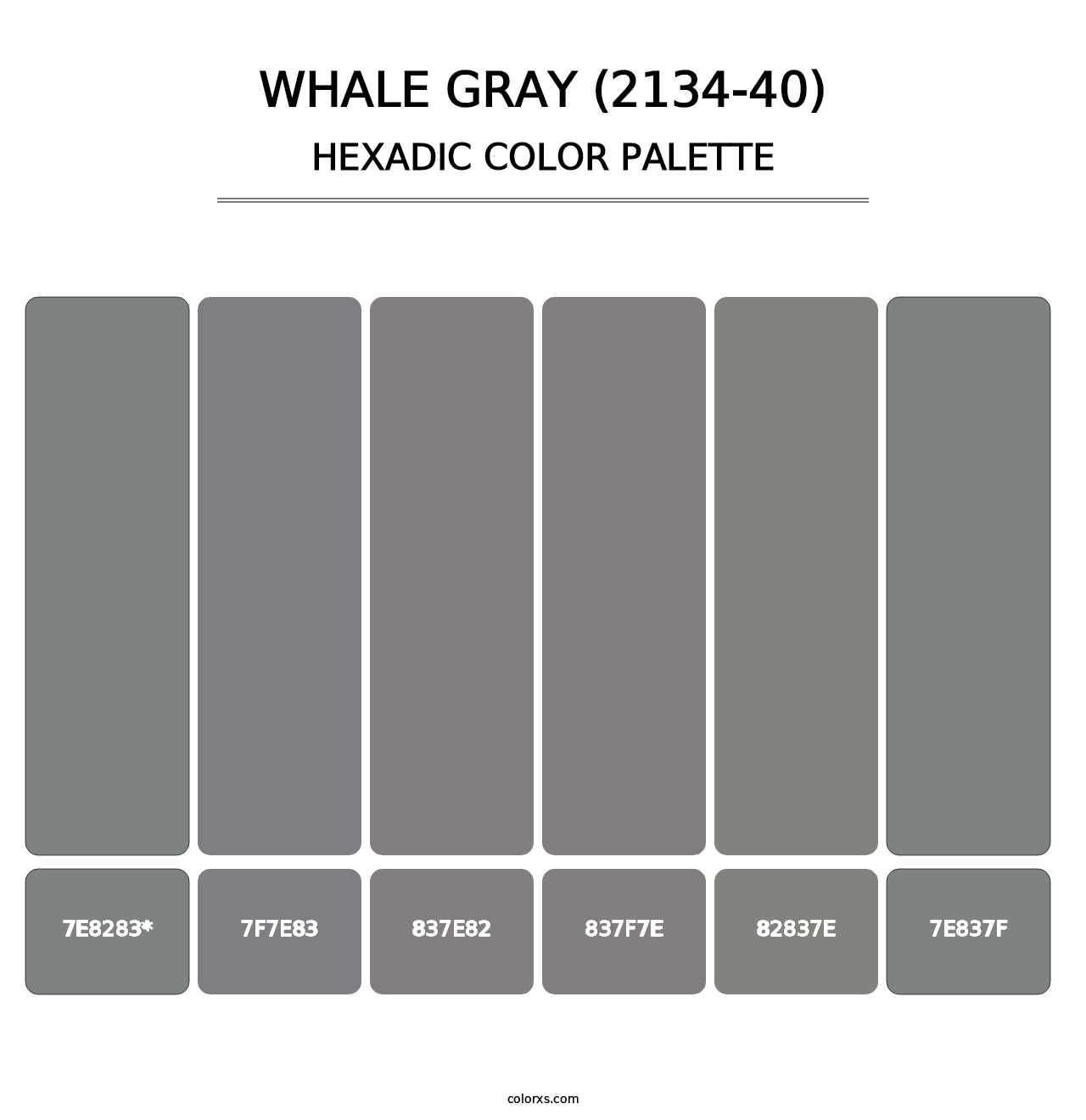 Whale Gray (2134-40) - Hexadic Color Palette