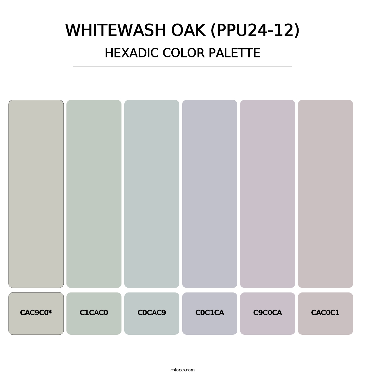 Whitewash Oak (PPU24-12) - Hexadic Color Palette