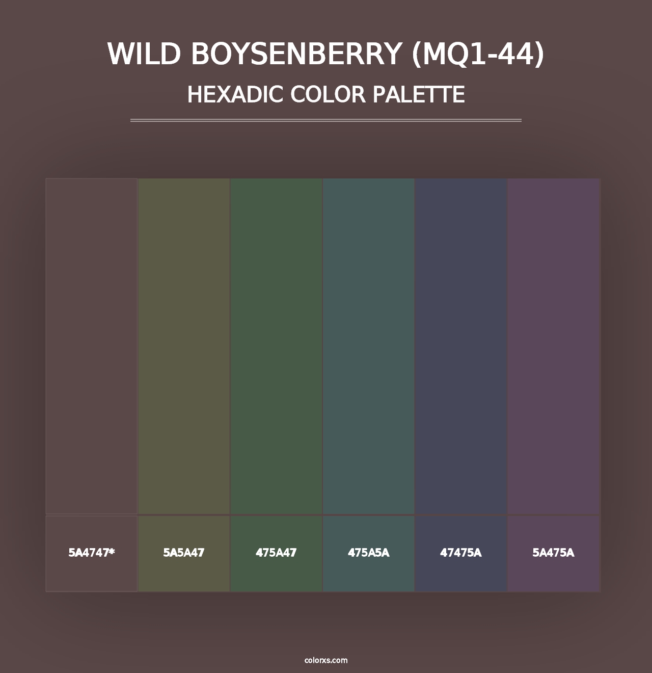 Wild Boysenberry (MQ1-44) - Hexadic Color Palette