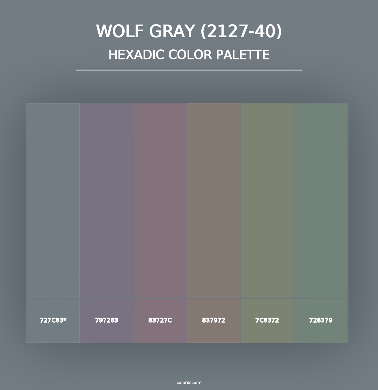 Wolf Gray (2127-40) - Hexadic Color Palette