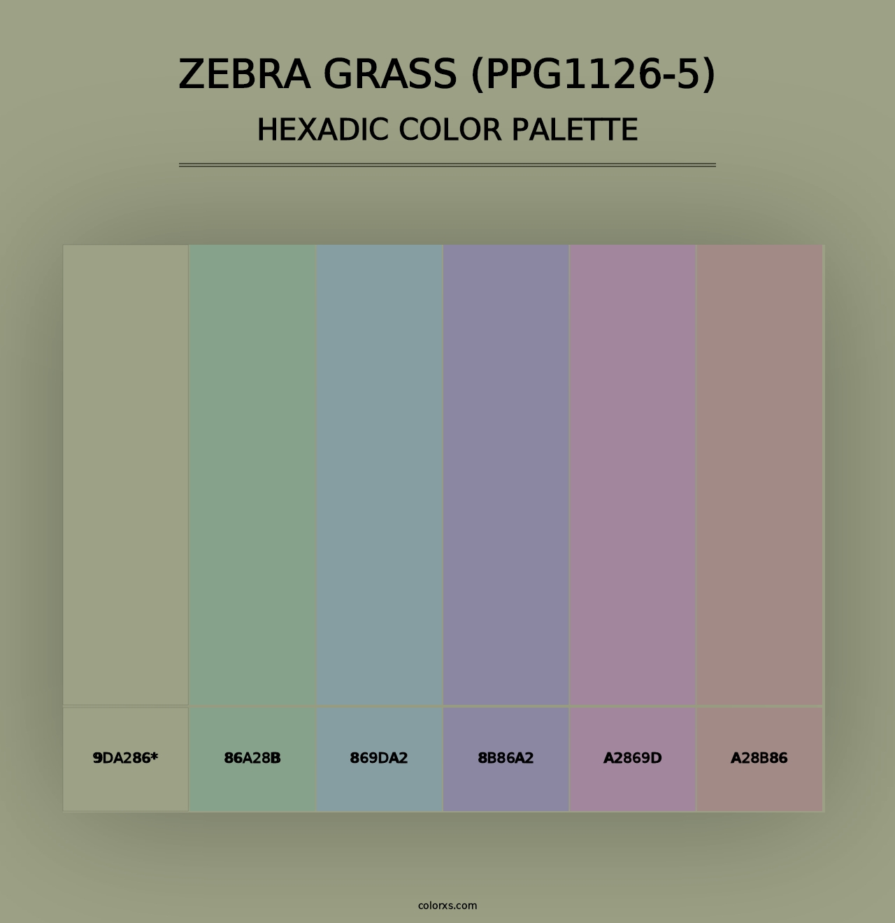 Zebra Grass (PPG1126-5) - Hexadic Color Palette