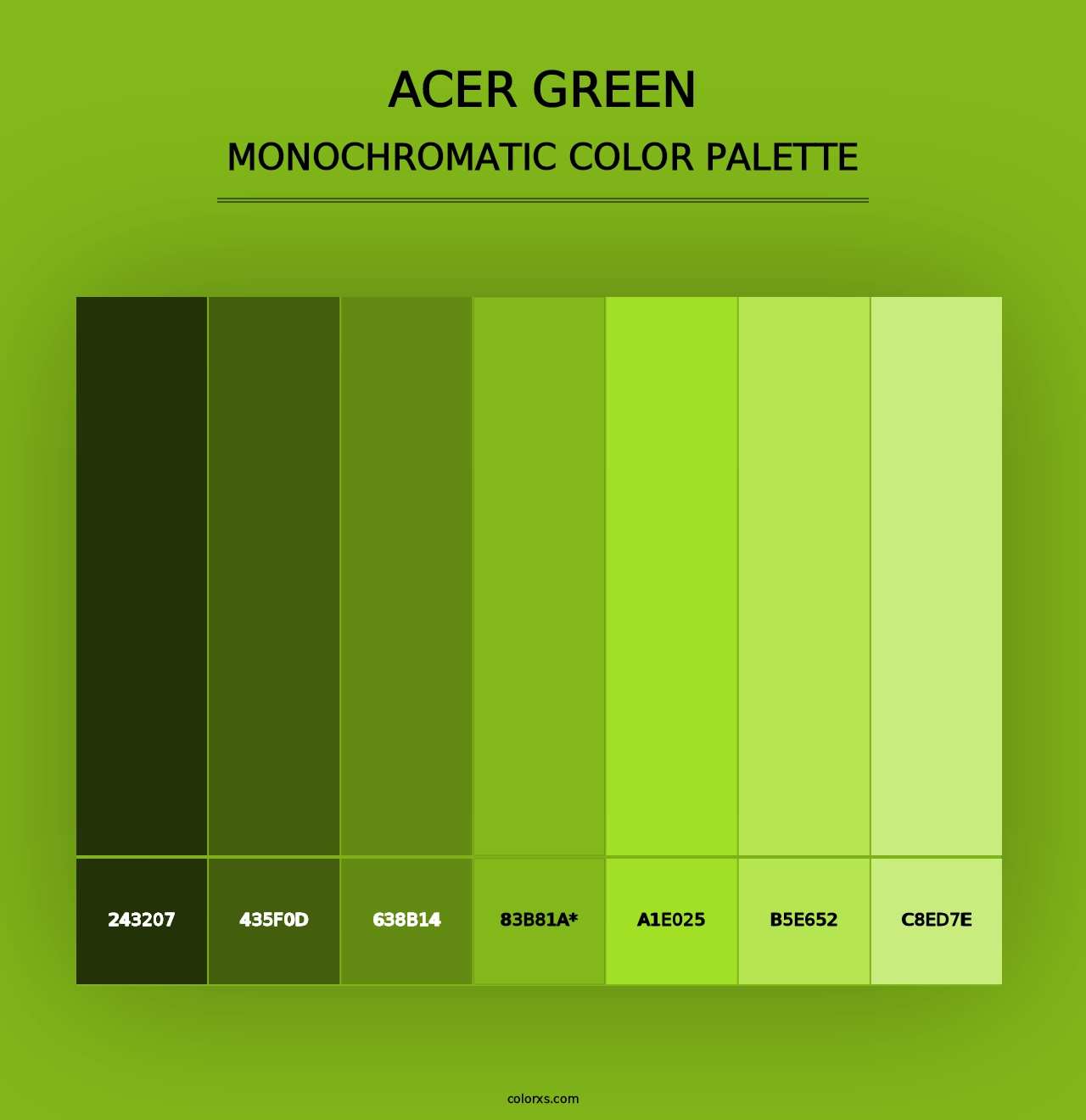 Acer Green - Monochromatic Color Palette