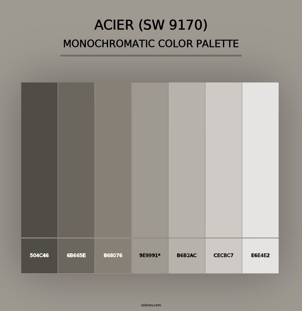 Acier (SW 9170) - Monochromatic Color Palette