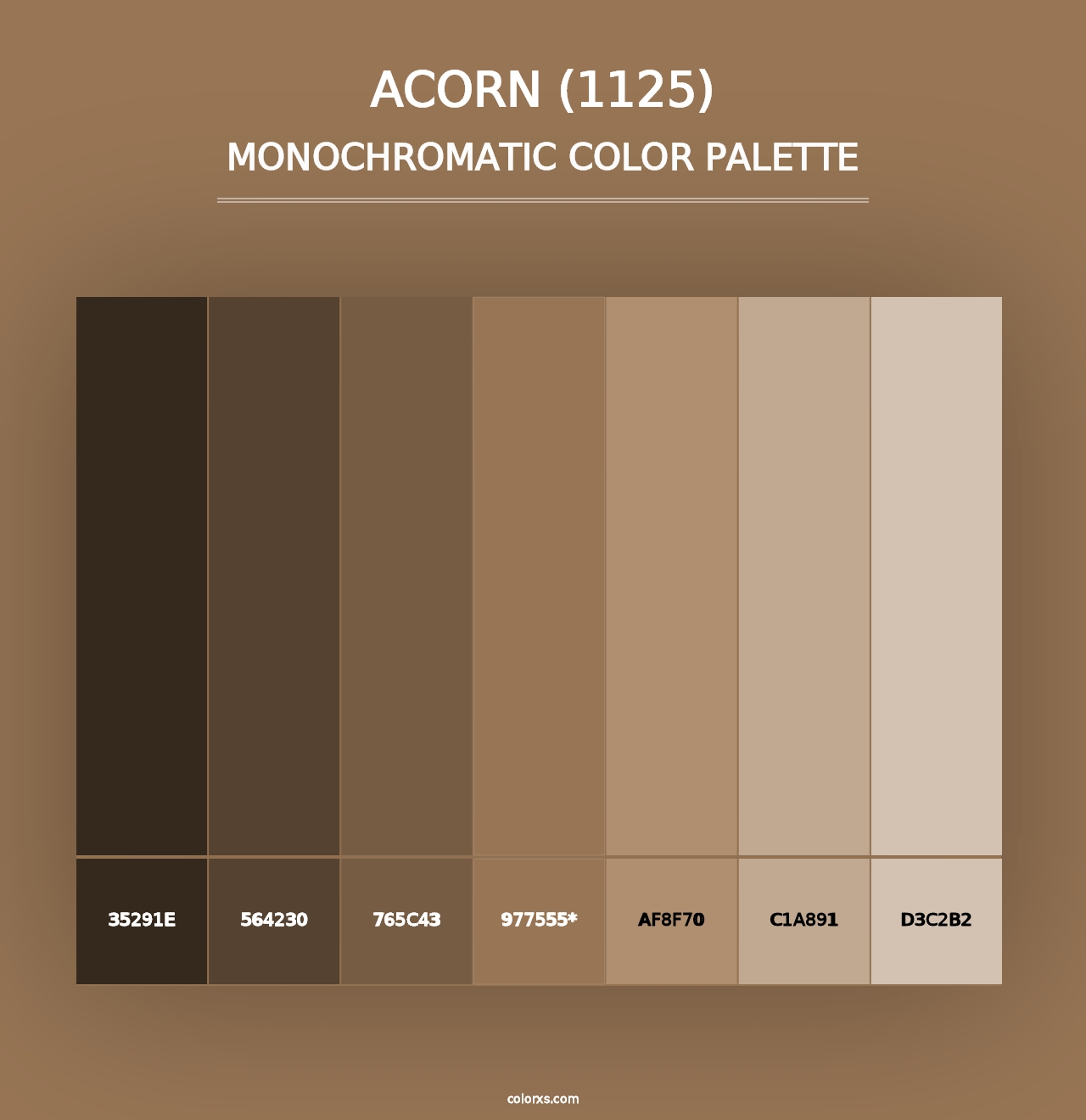 Acorn (1125) - Monochromatic Color Palette