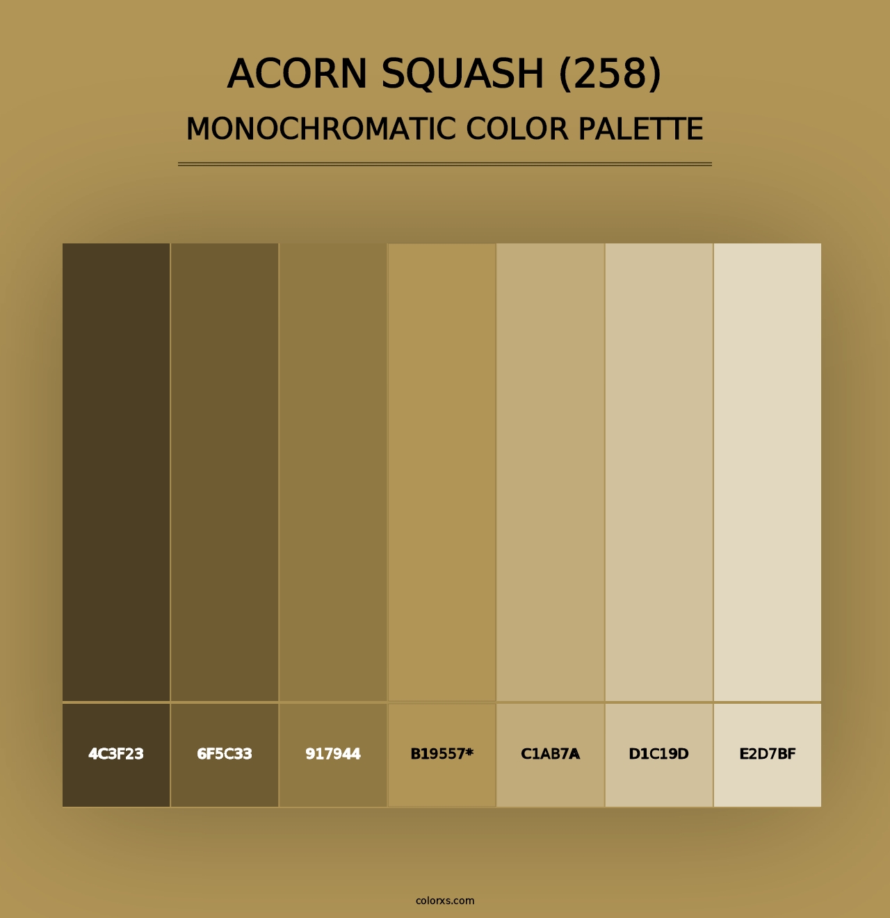 Acorn Squash (258) - Monochromatic Color Palette