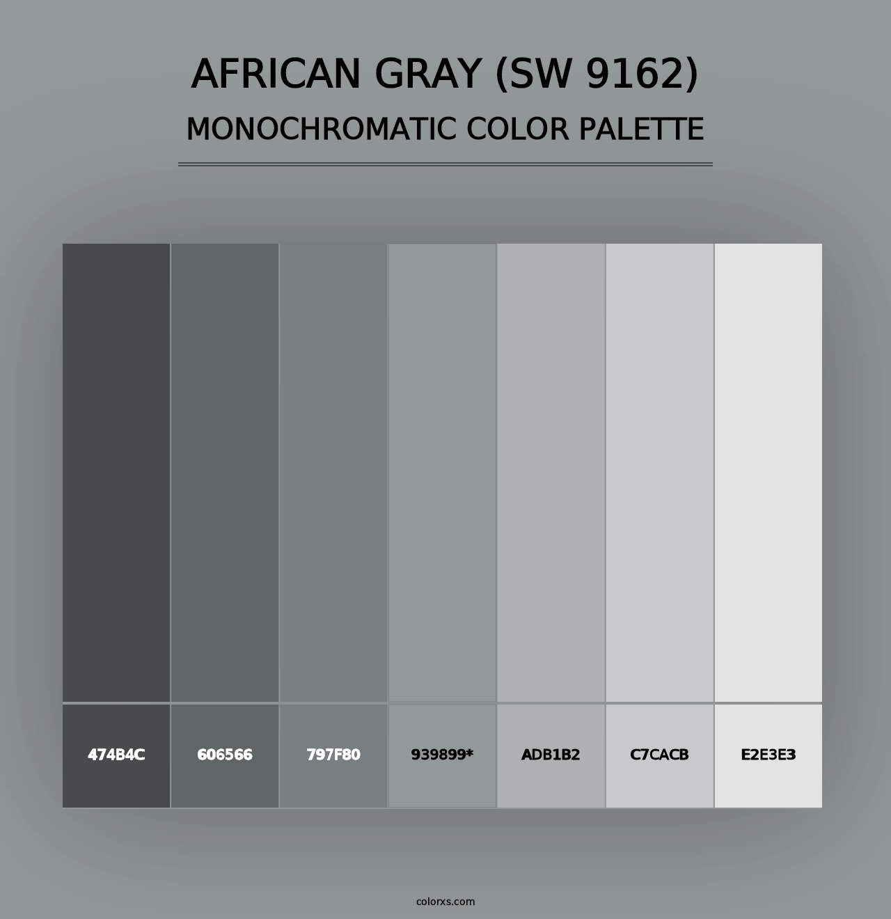 African Gray (SW 9162) - Monochromatic Color Palette