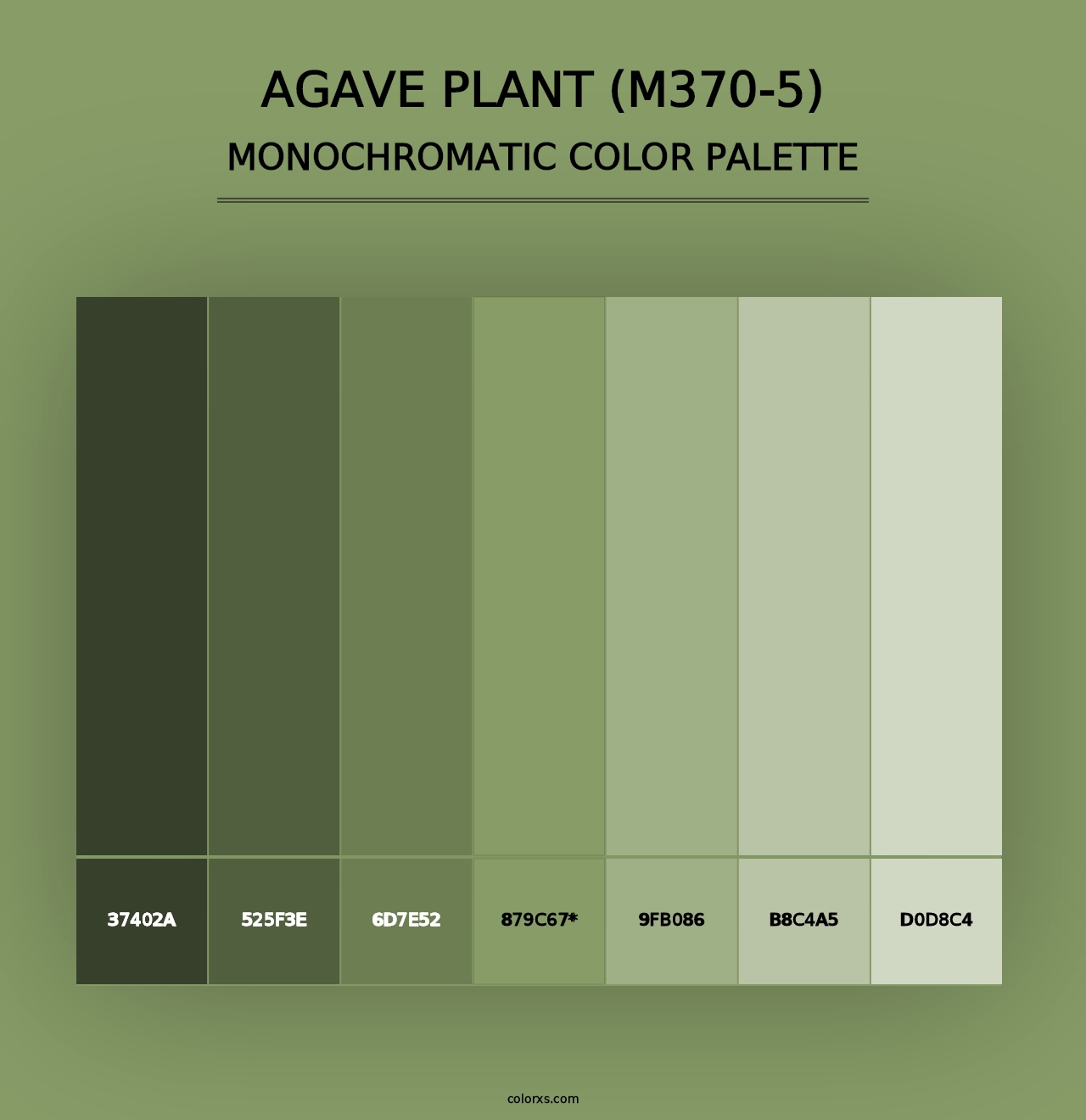 Agave Plant (M370-5) - Monochromatic Color Palette