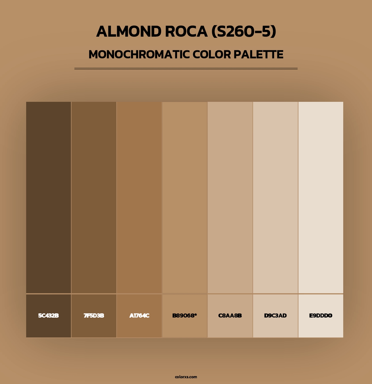 Almond Roca (S260-5) - Monochromatic Color Palette