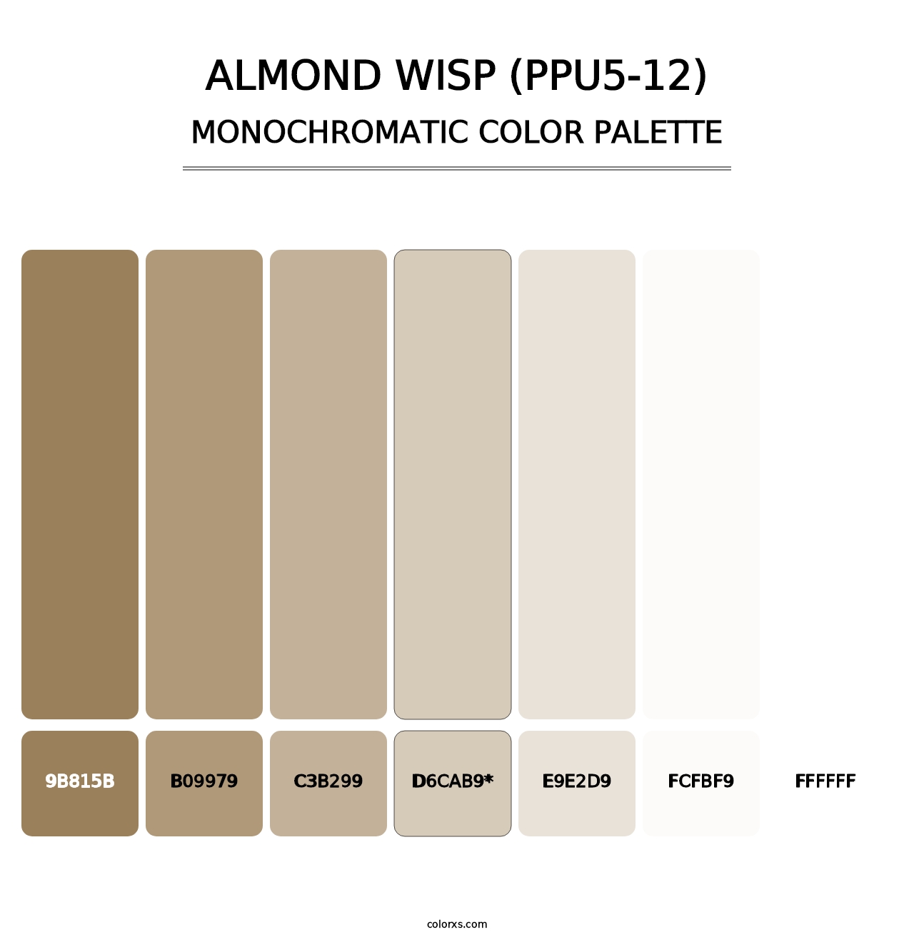 Almond Wisp (PPU5-12) - Monochromatic Color Palette