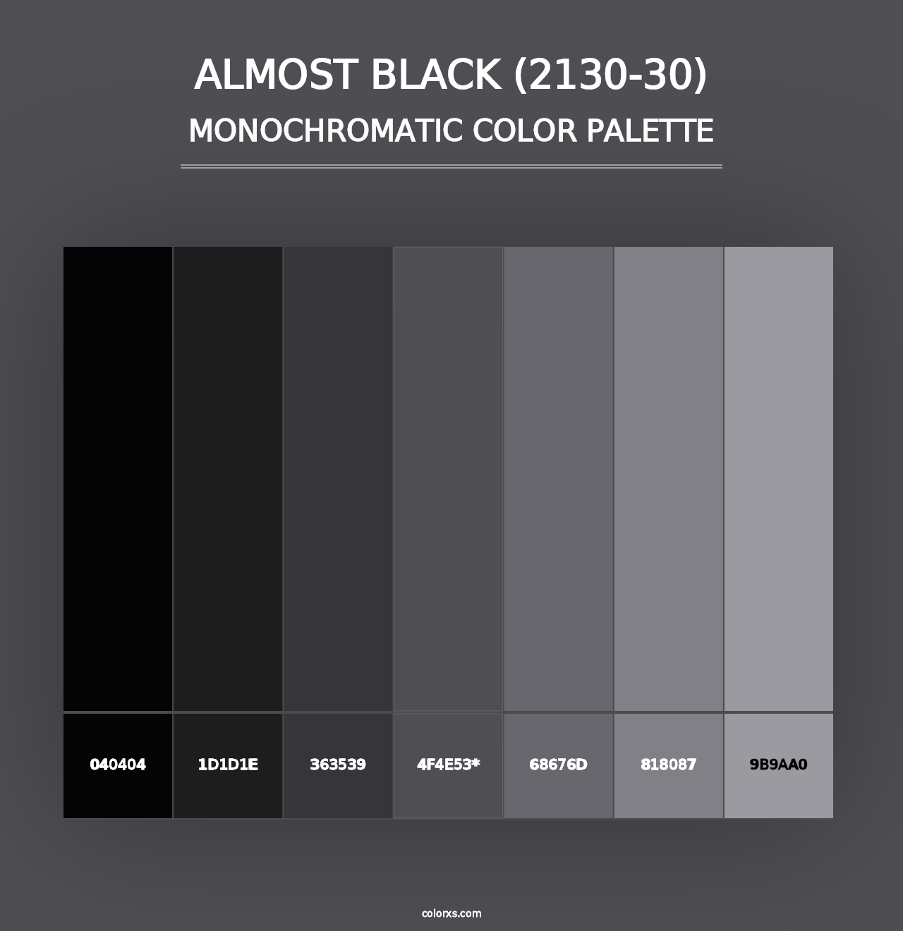 Almost Black (2130-30) - Monochromatic Color Palette