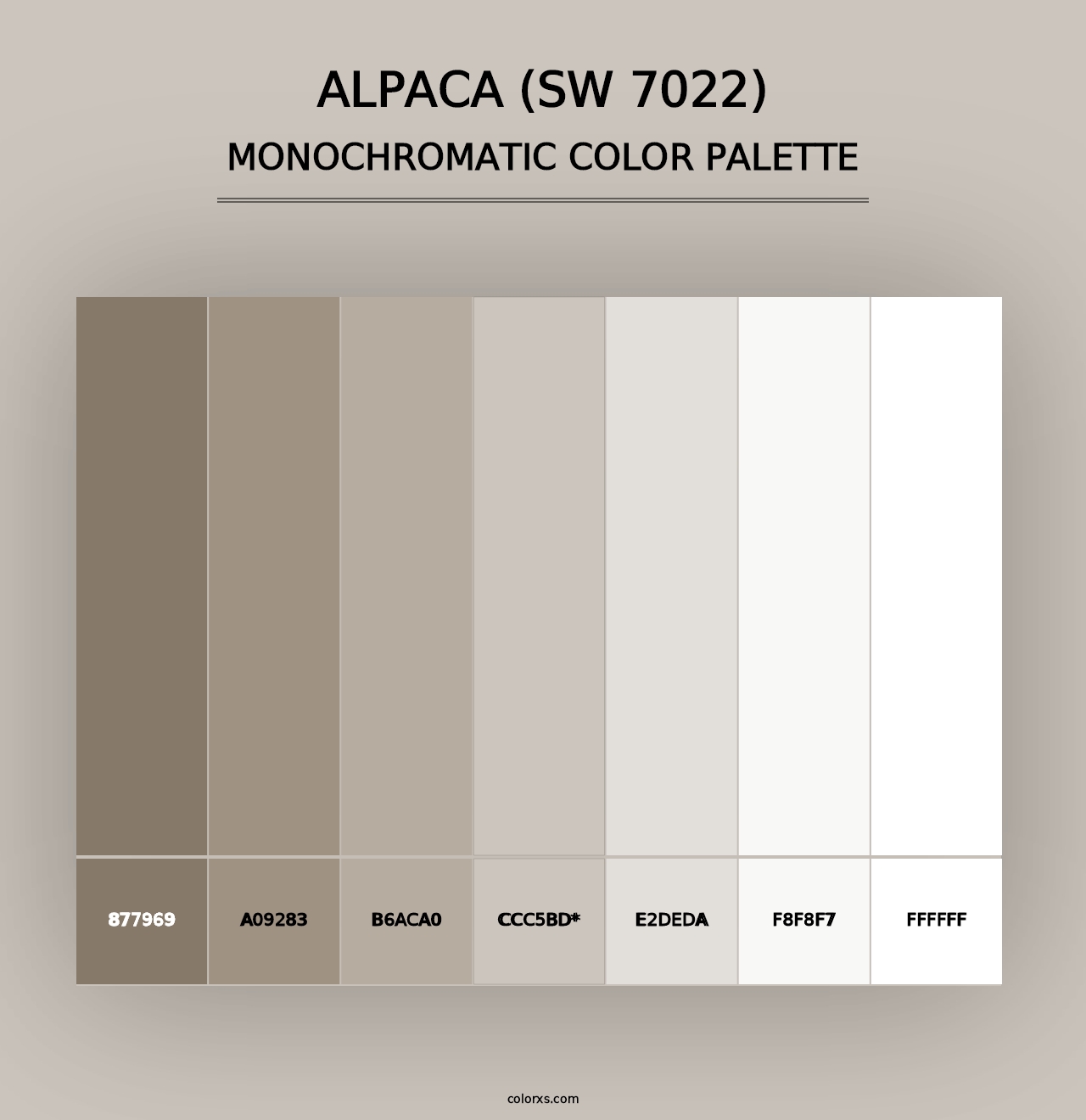 Alpaca (SW 7022) - Monochromatic Color Palette