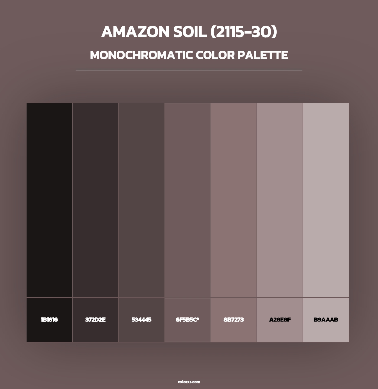 Amazon Soil (2115-30) - Monochromatic Color Palette