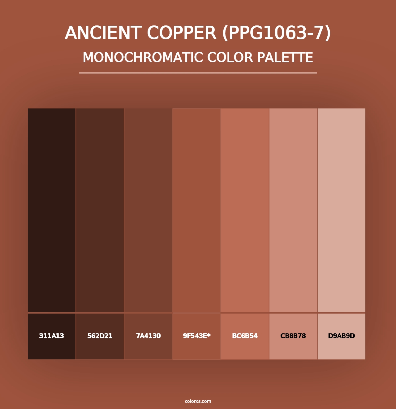 Ancient Copper (PPG1063-7) - Monochromatic Color Palette