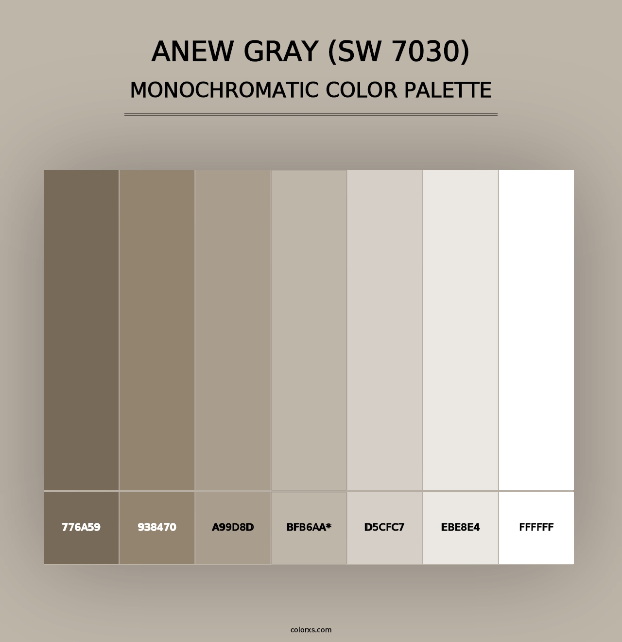 Anew Gray (SW 7030) - Monochromatic Color Palette