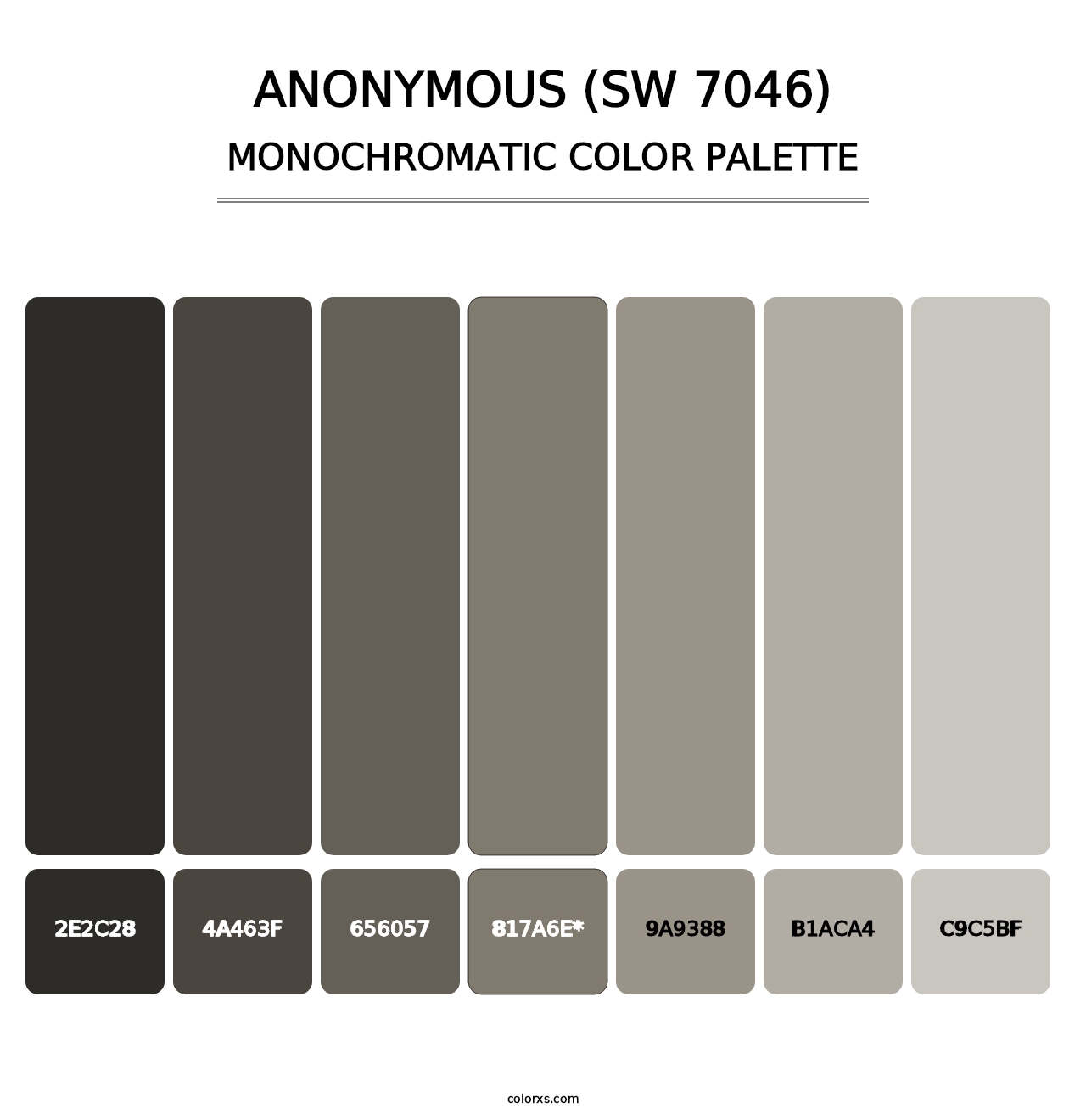 Anonymous (SW 7046) - Monochromatic Color Palette