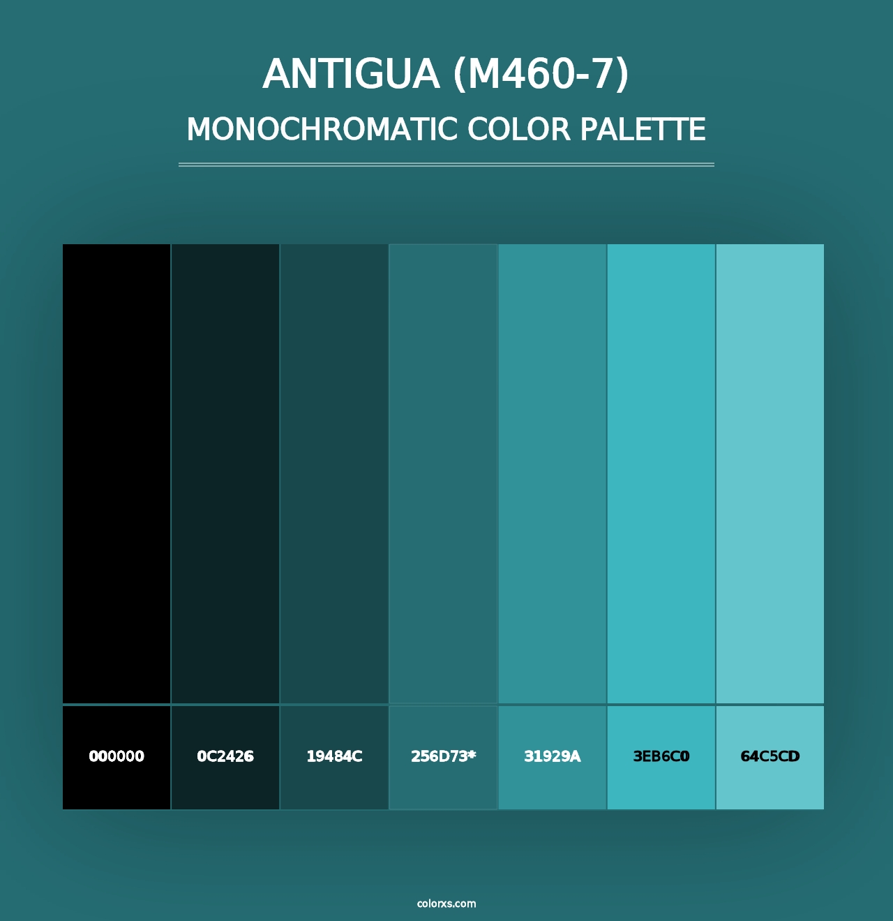 Antigua (M460-7) - Monochromatic Color Palette