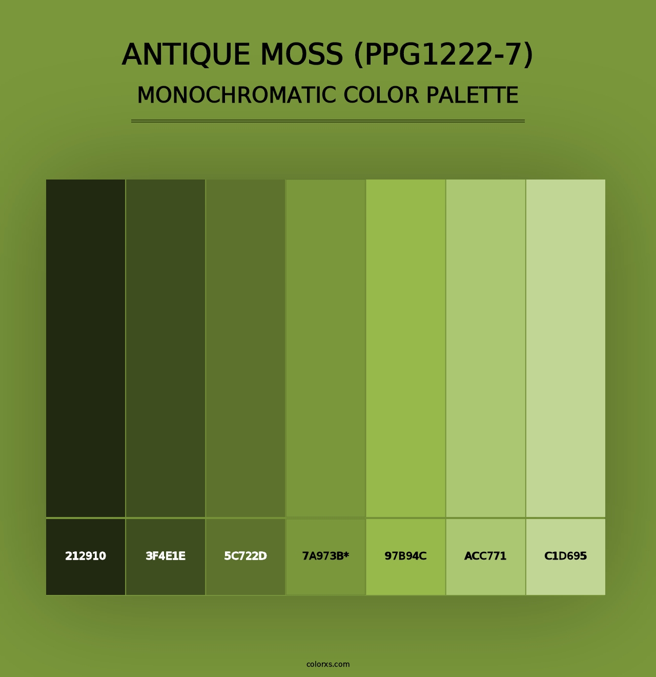 Antique Moss (PPG1222-7) - Monochromatic Color Palette