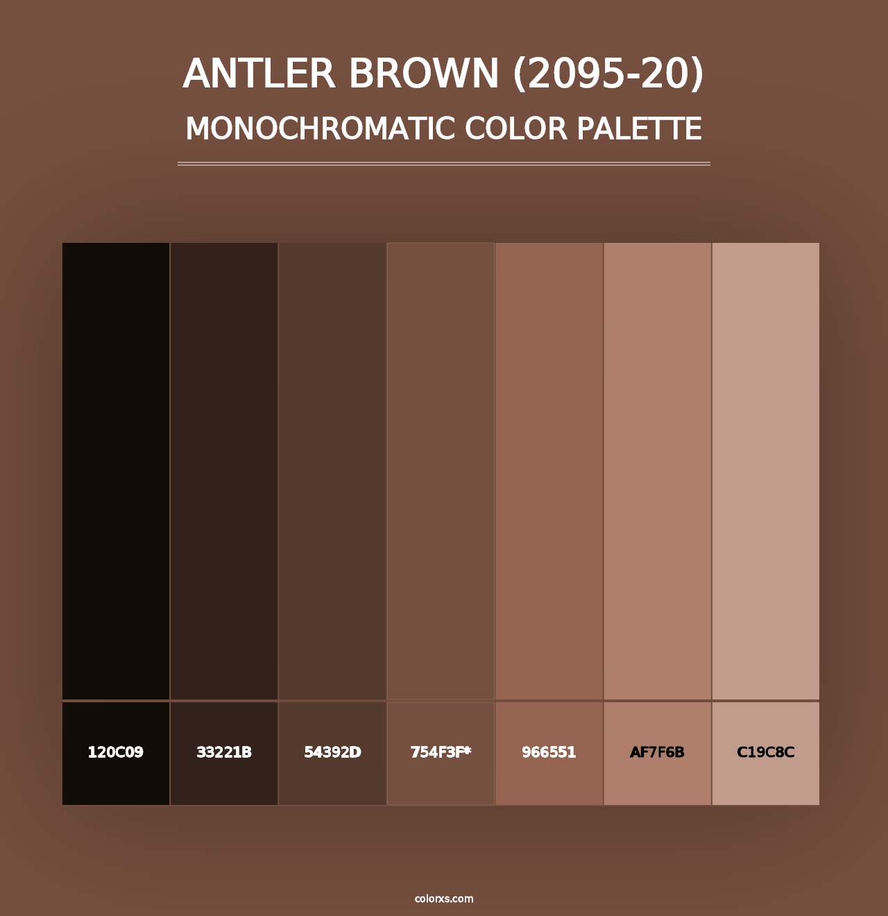 Antler Brown (2095-20) - Monochromatic Color Palette