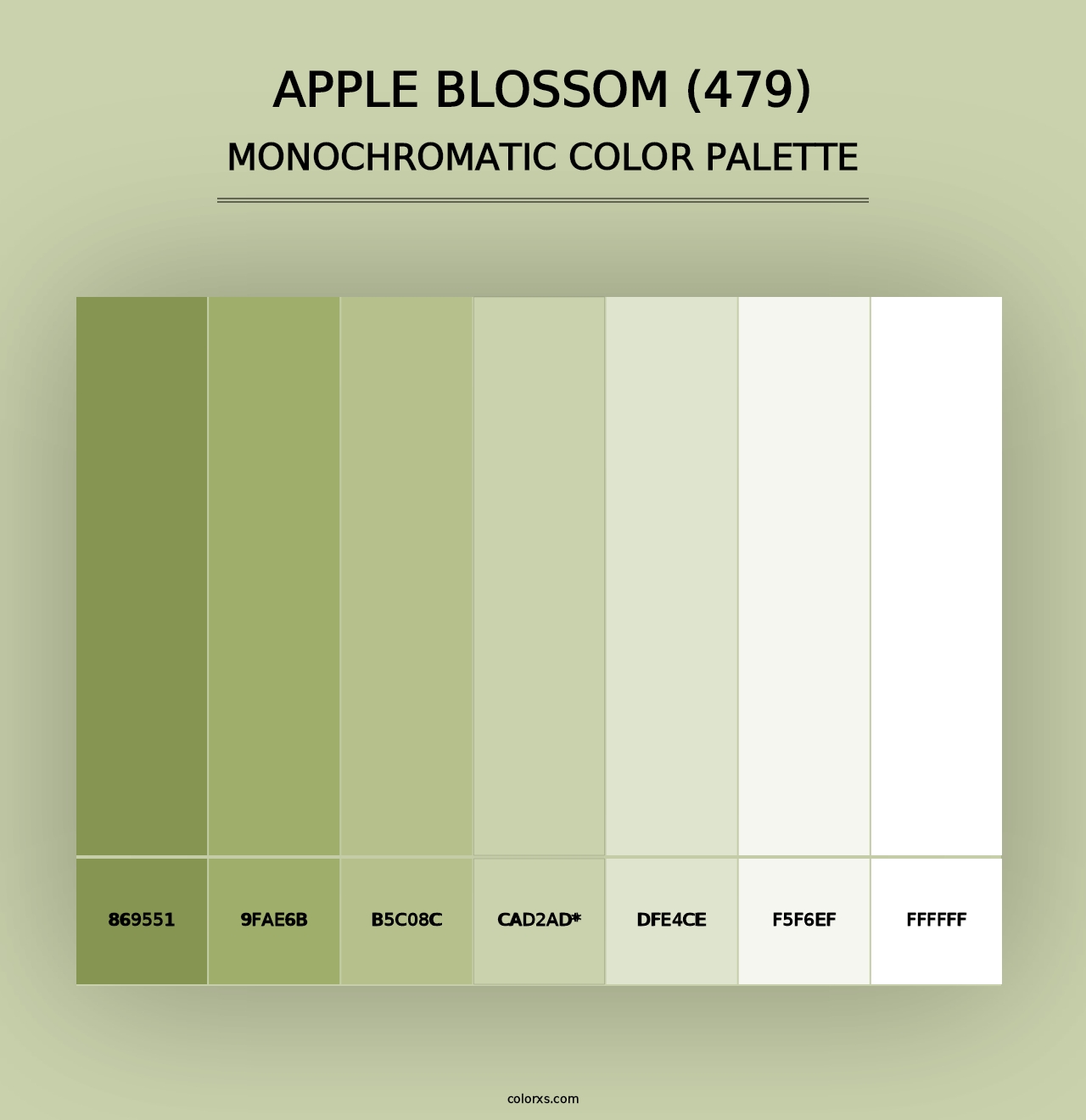 Apple Blossom (479) - Monochromatic Color Palette