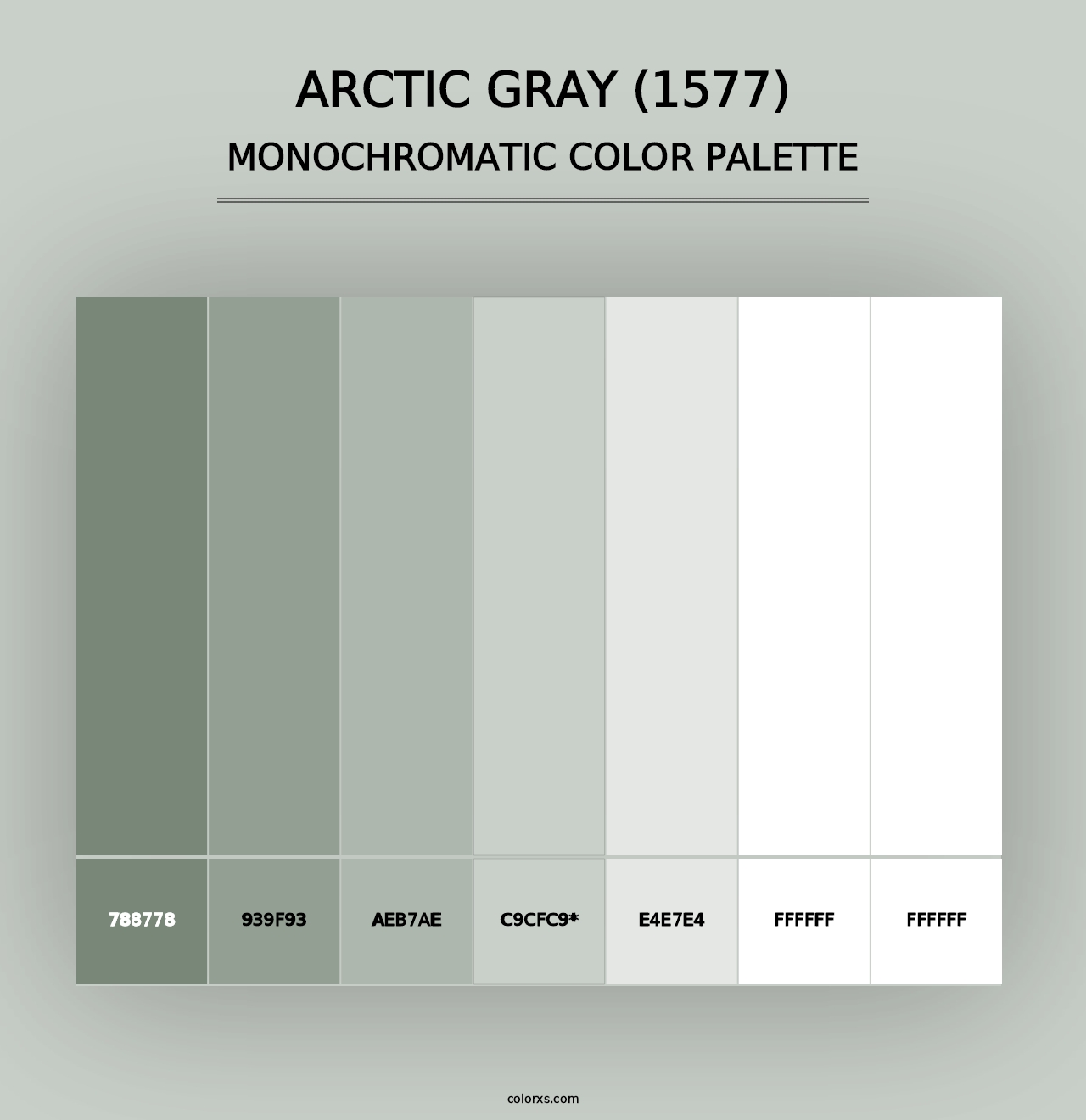 Arctic Gray (1577) - Monochromatic Color Palette