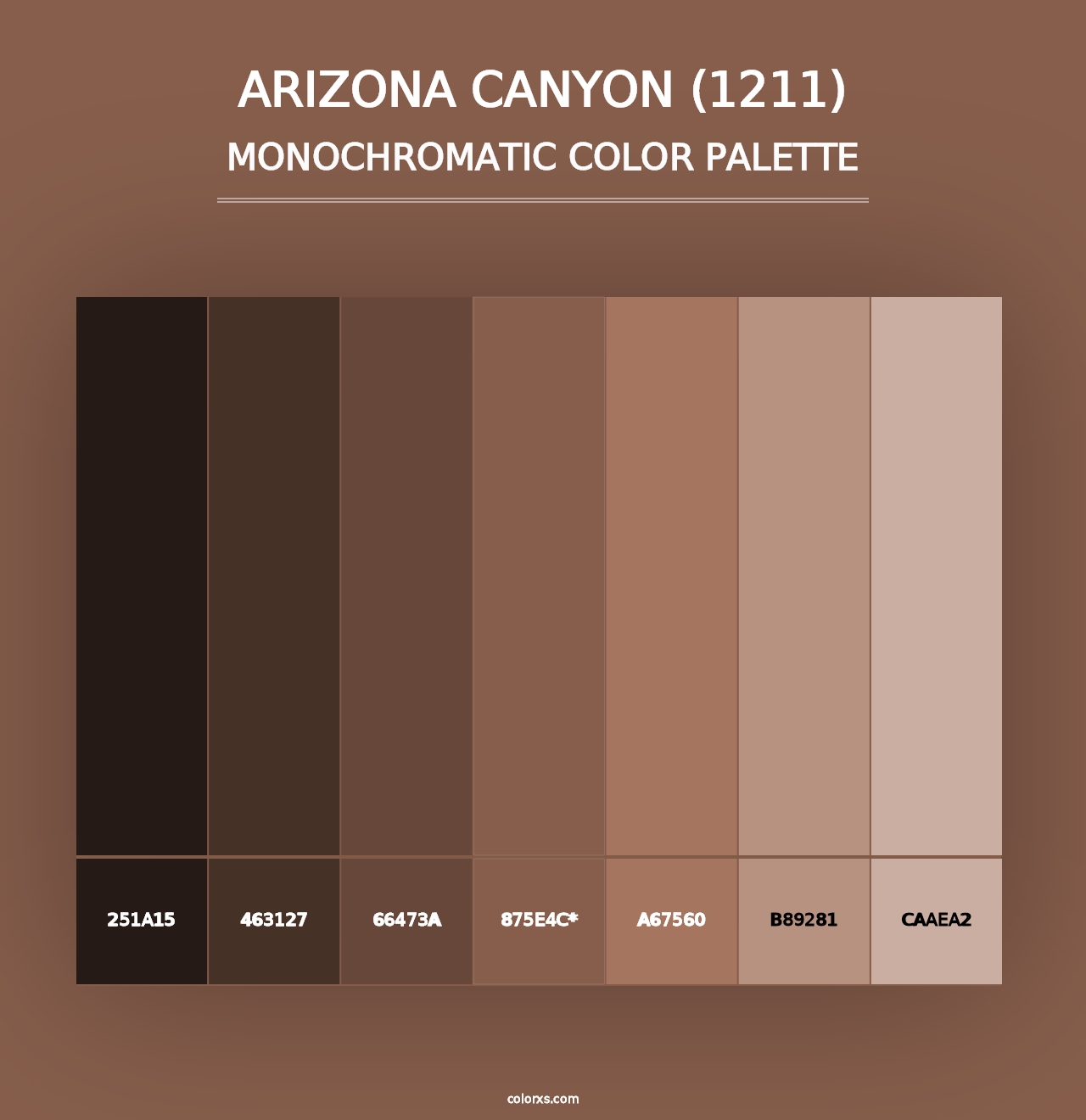 Arizona Canyon (1211) - Monochromatic Color Palette