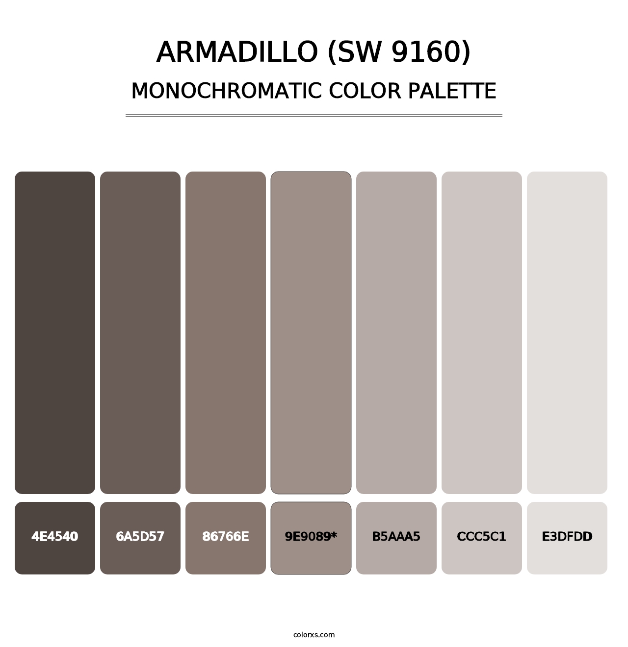 Armadillo (SW 9160) - Monochromatic Color Palette