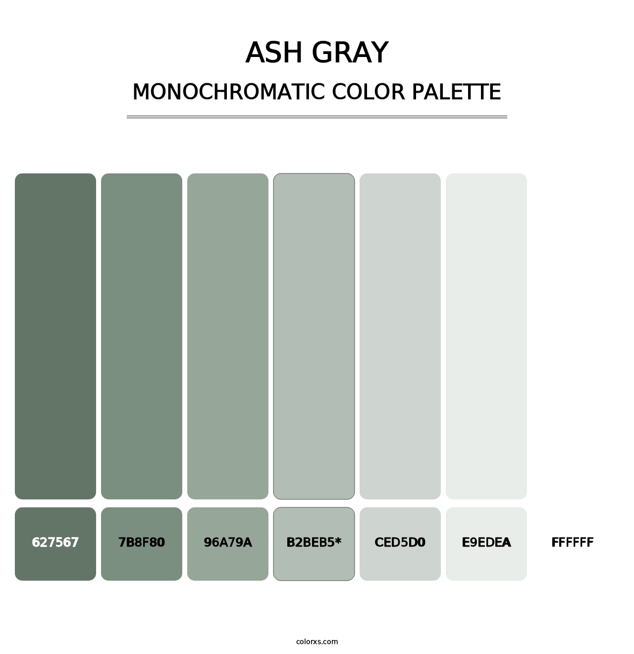 Ash Gray - Monochromatic Color Palette