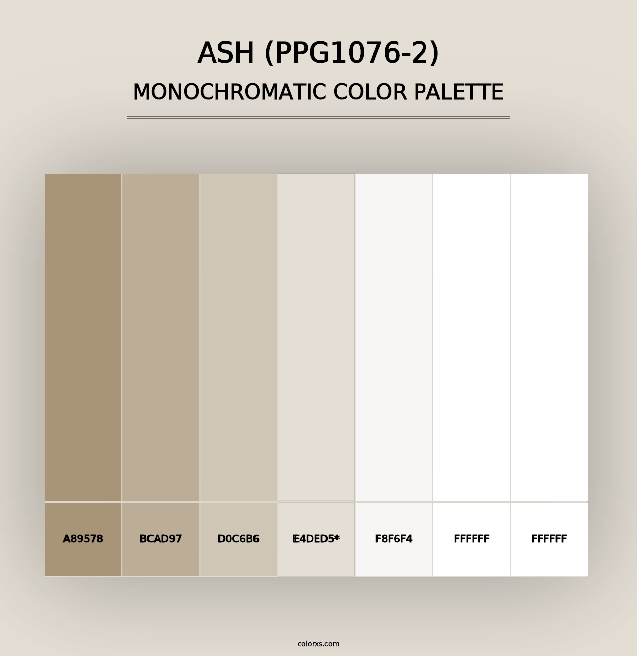 Ash (PPG1076-2) - Monochromatic Color Palette