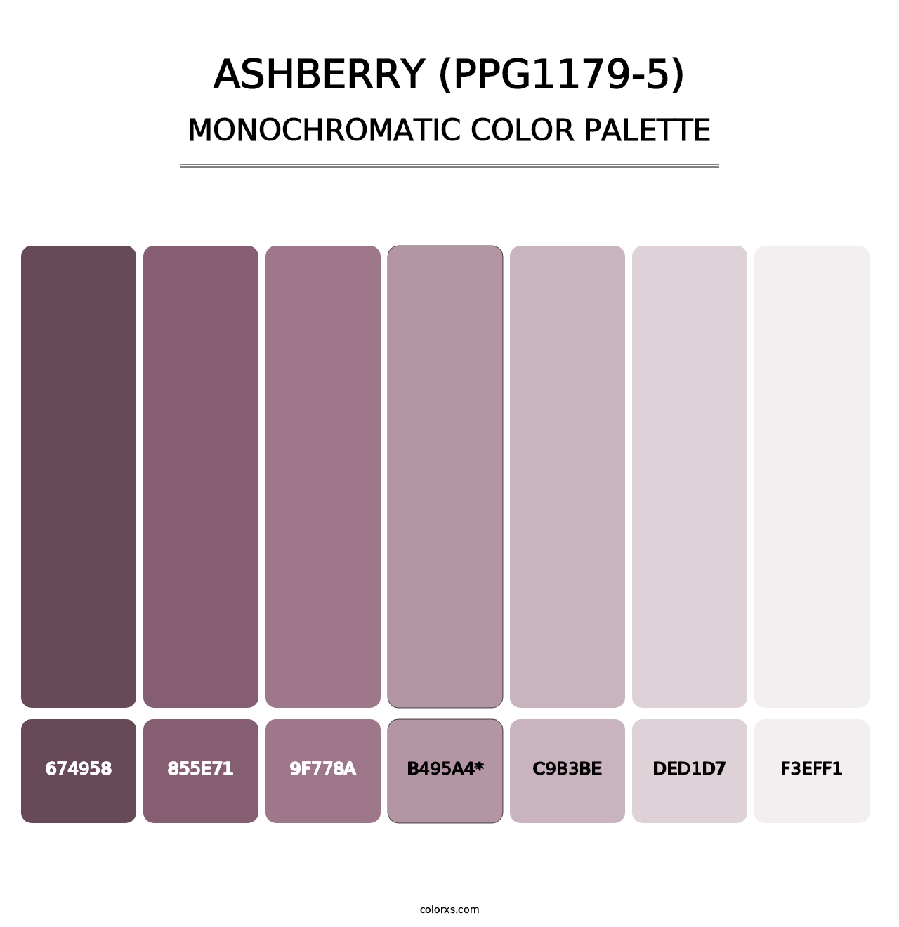 Ashberry (PPG1179-5) - Monochromatic Color Palette