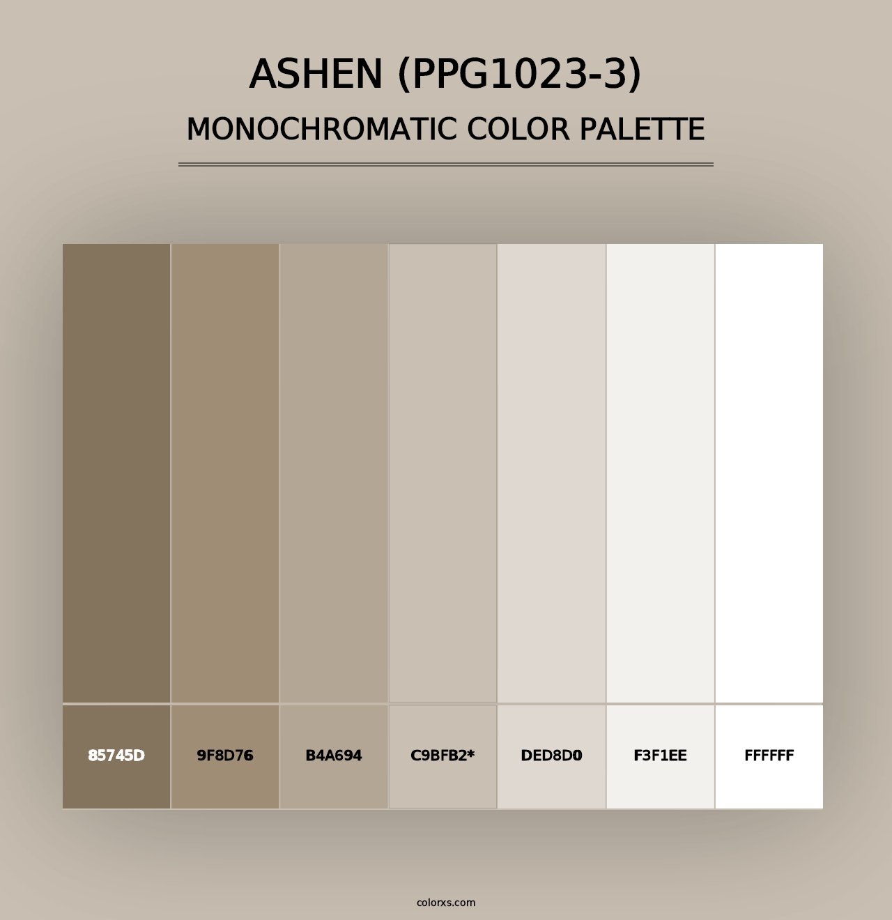 Ashen (PPG1023-3) - Monochromatic Color Palette