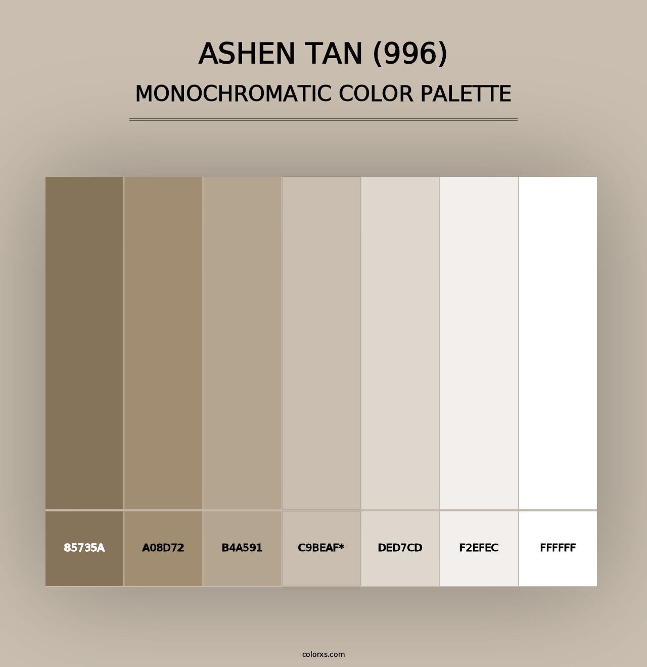 Ashen Tan (996) - Monochromatic Color Palette