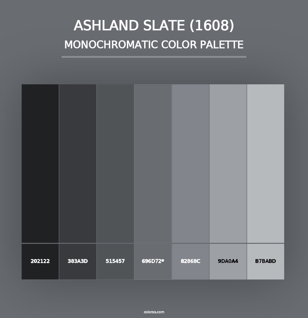 Ashland Slate (1608) - Monochromatic Color Palette