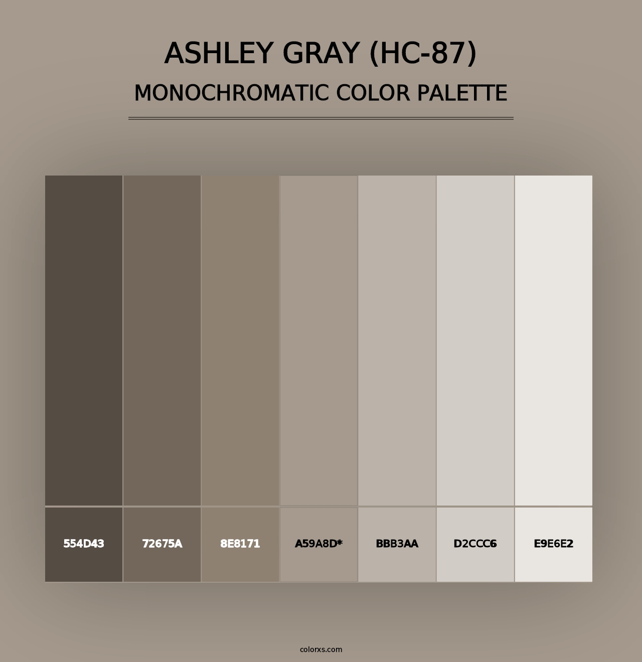 Ashley Gray (HC-87) - Monochromatic Color Palette