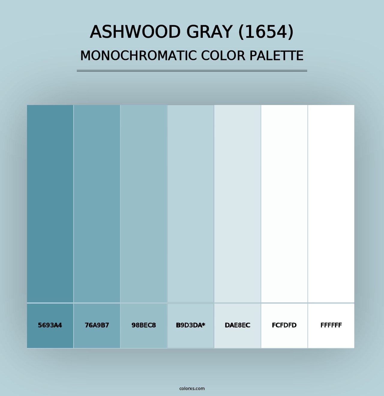 Ashwood Gray (1654) - Monochromatic Color Palette