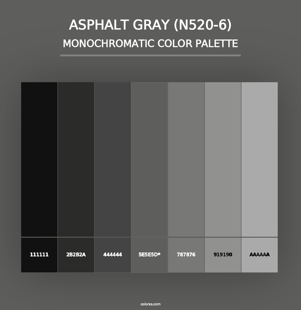 Asphalt Gray (N520-6) - Monochromatic Color Palette