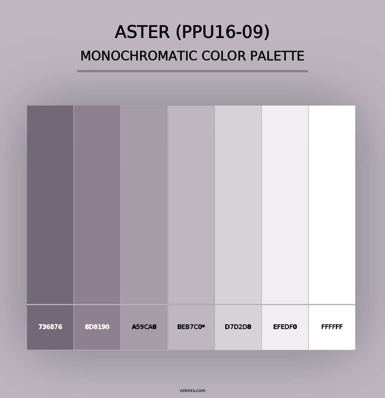 Aster (PPU16-09) - Monochromatic Color Palette