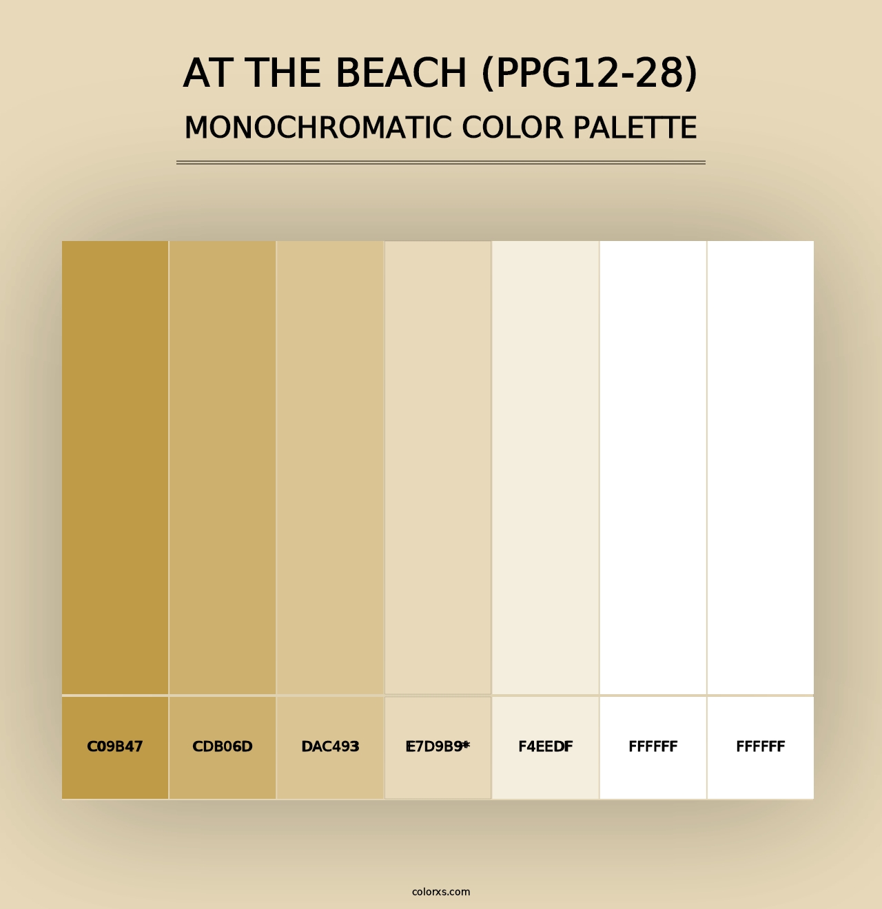 At The Beach (PPG12-28) - Monochromatic Color Palette