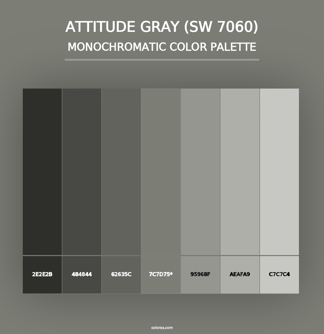 Attitude Gray (SW 7060) - Monochromatic Color Palette