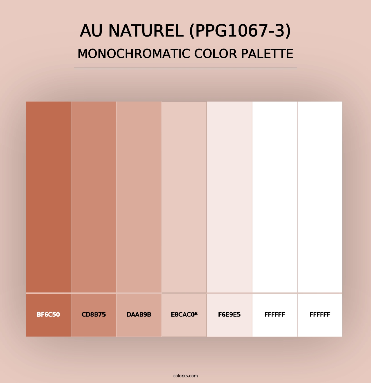 Au Naturel (PPG1067-3) - Monochromatic Color Palette