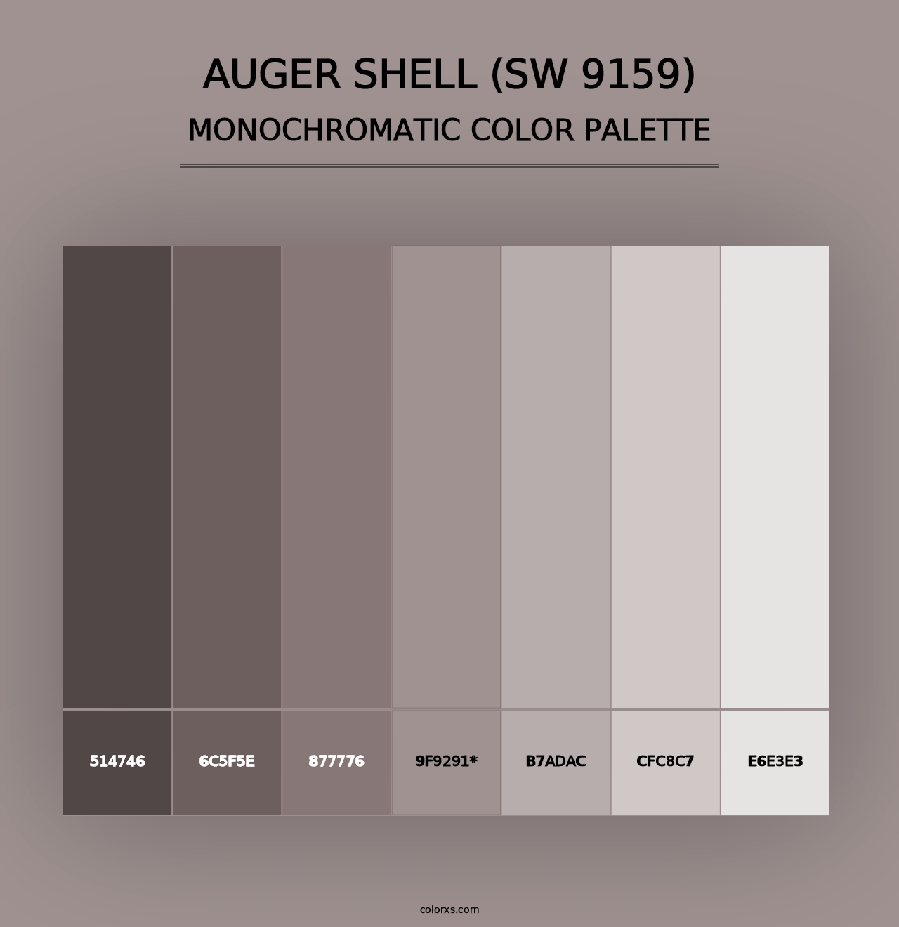 Auger Shell (SW 9159) - Monochromatic Color Palette