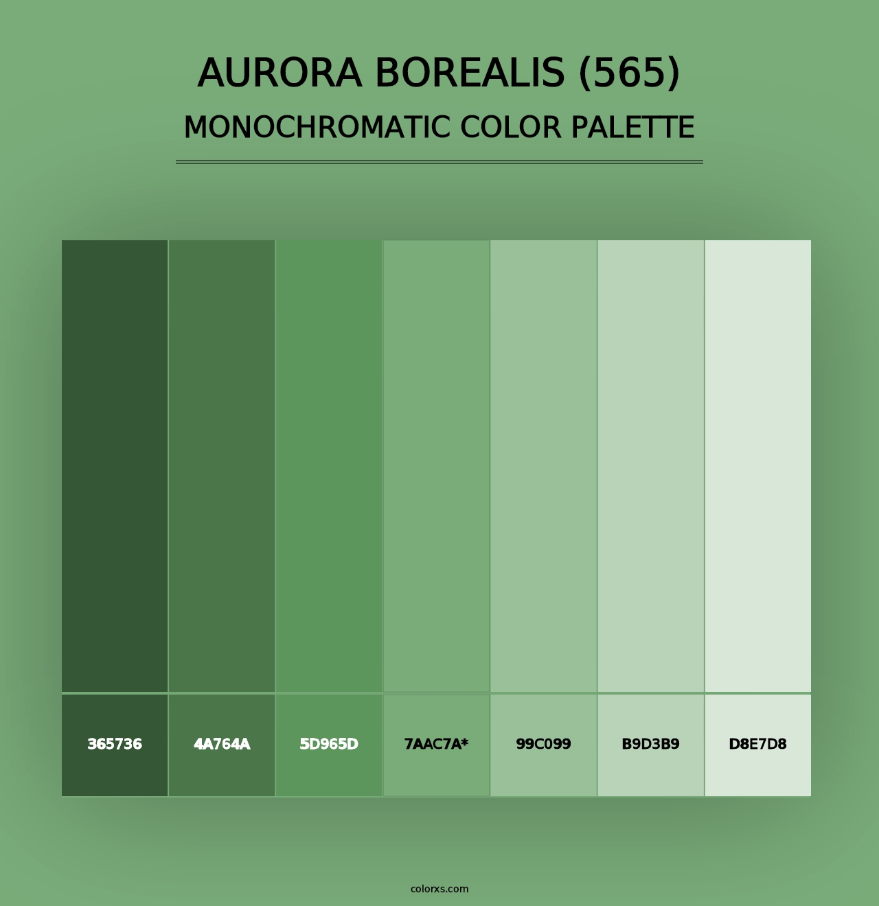 Aurora Borealis (565) - Monochromatic Color Palette