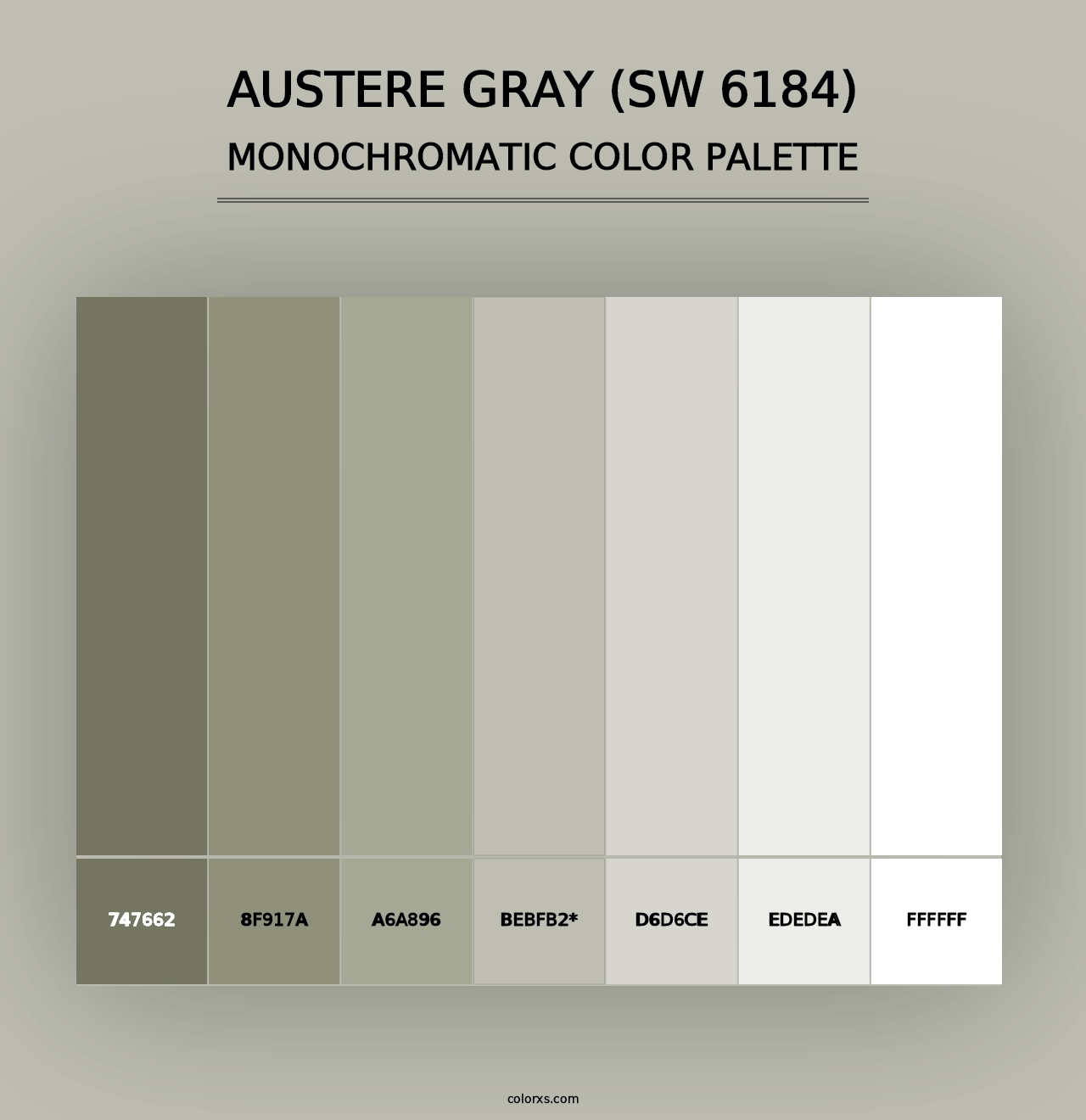 Austere Gray (SW 6184) - Monochromatic Color Palette