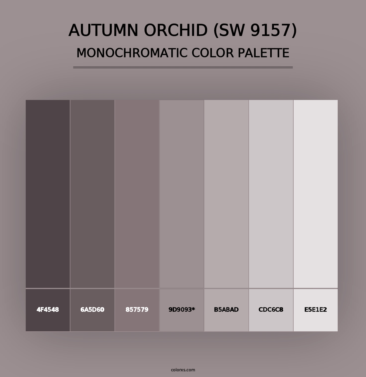 Autumn Orchid (SW 9157) - Monochromatic Color Palette