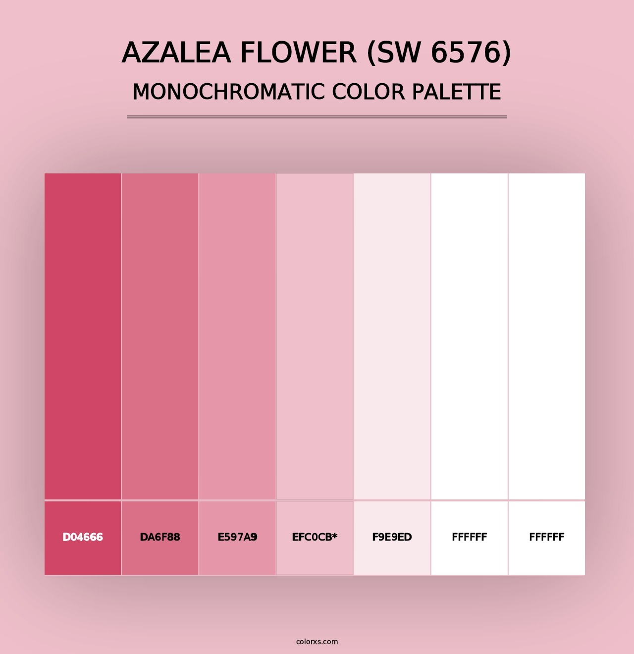 Azalea Flower (SW 6576) - Monochromatic Color Palette